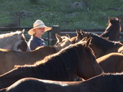 Sarah at Sprucedale